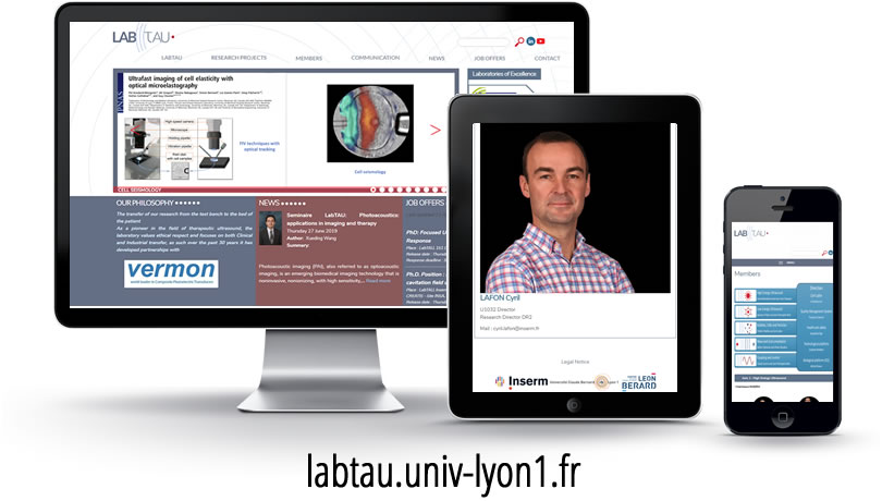 Création site internet Université Inserm Labtau